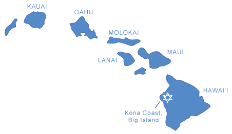 Kona Jewish wedding
